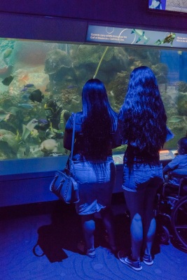Aquarium_Girls_Feeding_Web